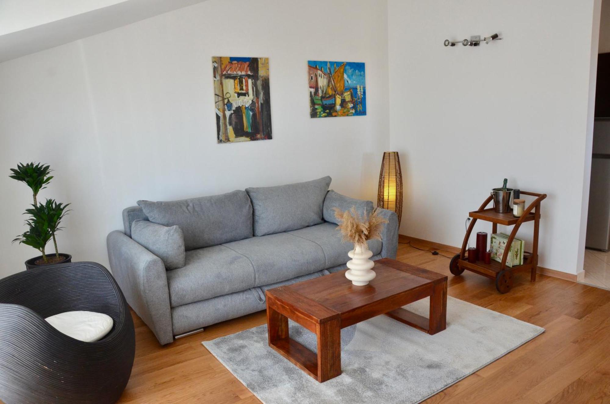 Apartment Toma Novalja